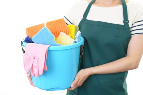 Carpet cleaning pricing explanation for a home in N1