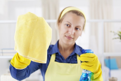 Professional house cleaning service for N1 flats and period homes