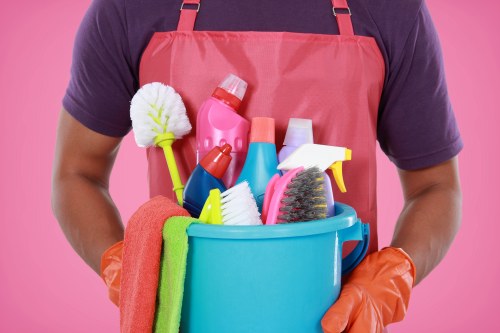 Deep cleaning for a busy home in the N1 area