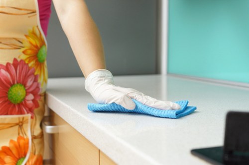 Professional oven cleaning service in an N1 kitchen