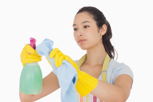 Deep cleaning tasks completed by a local cleaner in N1