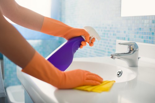Local cleaners working in an N1 home