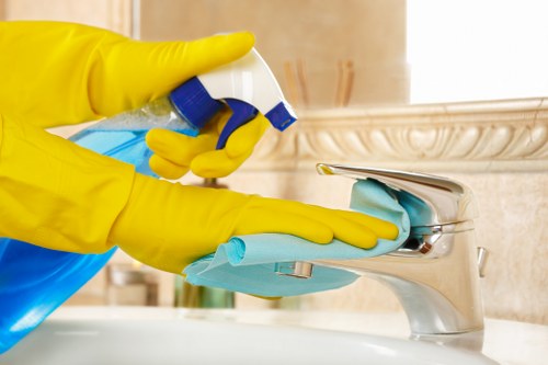 Professional deep cleaning service for a home in N1