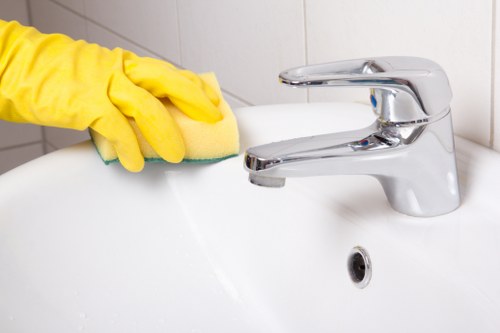 Specialist oven cleaner serving flats and businesses in N1