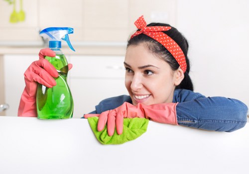 Professional cleaning service for a home in N1
