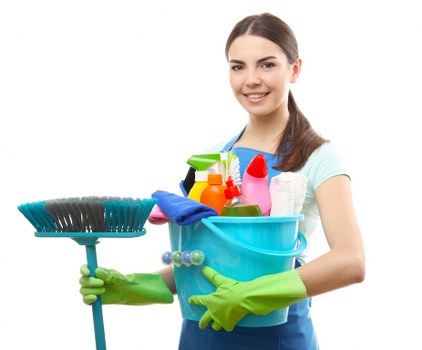 Room-by-room carpet care and stain treatment