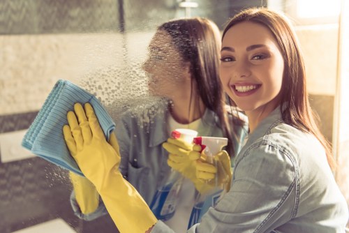 Detailed carpet care process for Carpet Cleaning N1 in a clean interior setting
