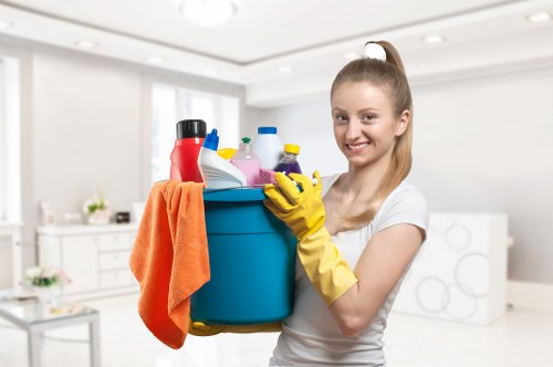 Professional cleaning services for N1 businesses and offices