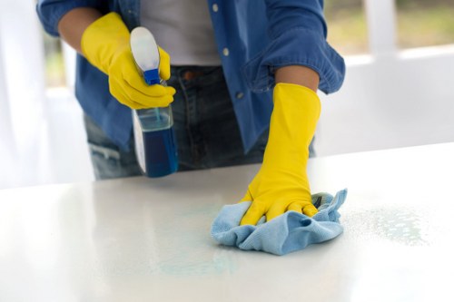 Local oven cleaner removing burnt-on grease from an appliance in N1