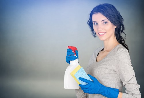 Clean oven and kitchen appliance service for N1 households